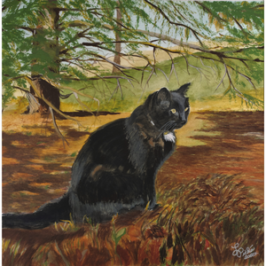 Lise Piché - Black Cat